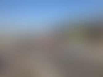 г.РОСТОВ Н-Д СТОЛИЦА ЮГА ЗАКРЫЛАСЬ ПОСТАМИ ПОЛИЦИИ.