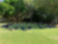 0AFC1E8F-9E27-4A23-B04F-BC1AA9B9EAF0_edited.jpg