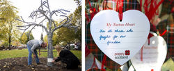 heart of scotland two pics