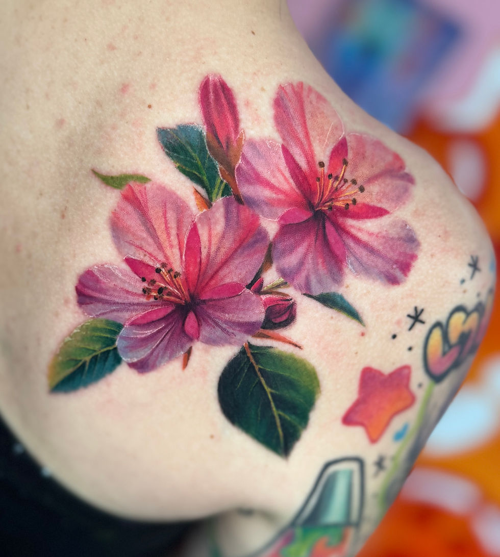 678fbb_6b446bc887b34c42b95b5f50159ed571~mv2 (1)