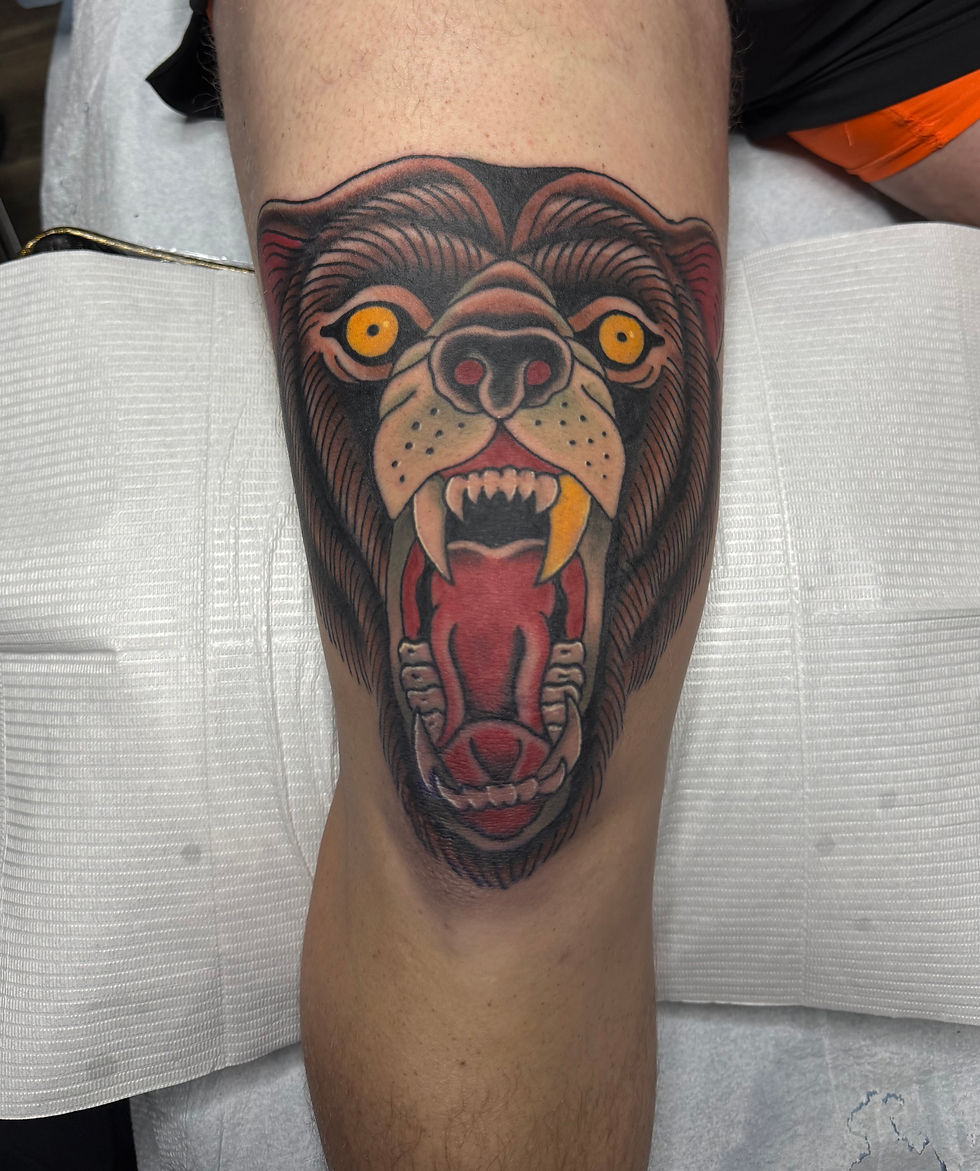 8dd99a_431194353f304ab4bfefd3dbe40cd914~mv2