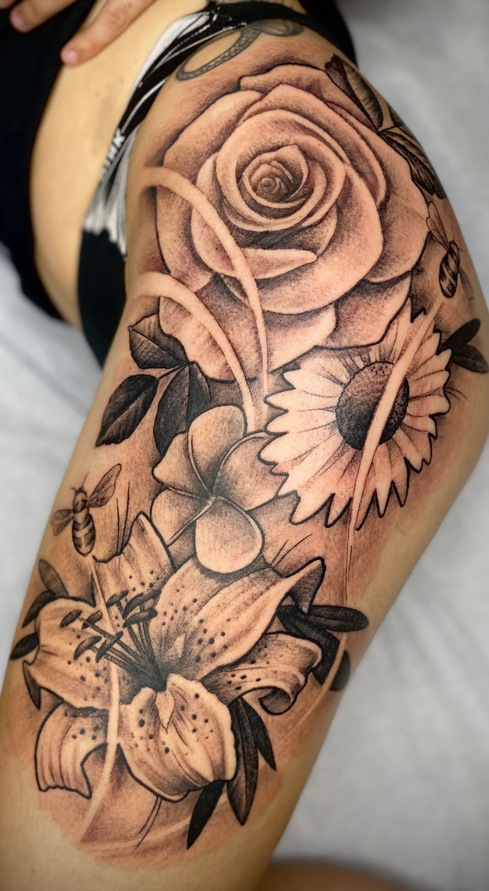 2f142f_aa2d7543c7434ac7a93a3f87cfe8ca20~mv2