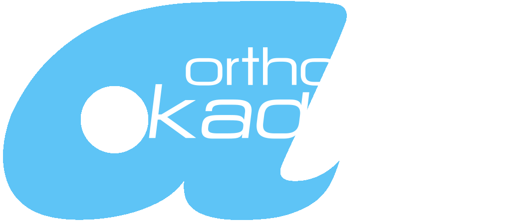 Logo_Aka_Bluewhite.gif