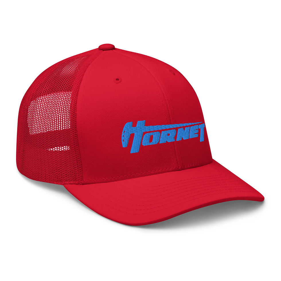 섬네일: Red & Blue Snap Back Hat | Patriotic Collection