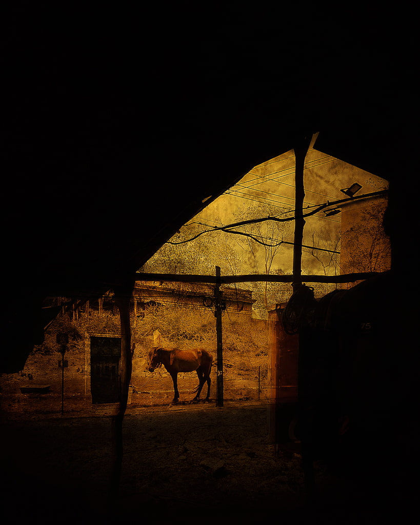 Merida_Mexico_Photomontage_Horse_©gabriel_daniel-4.jpg