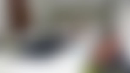 India and Germany work together on energy cooperation to tackle climate change