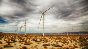 Table ronde parlementaire avec les législateurs de la Mauritanie