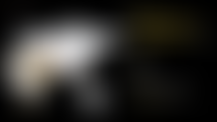 Tables rondes parlementaires sur le modèle éthiopien: les enchères d'énergies renouvelables