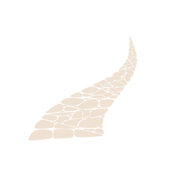 Untitled design.png