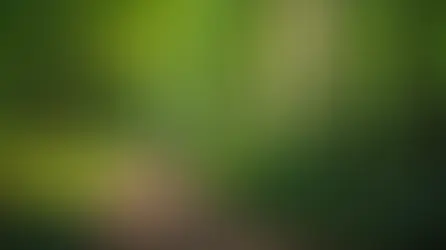 How to Cultivate Essential Spiritual Qualities for Mind, Body, and Spirit Alignment