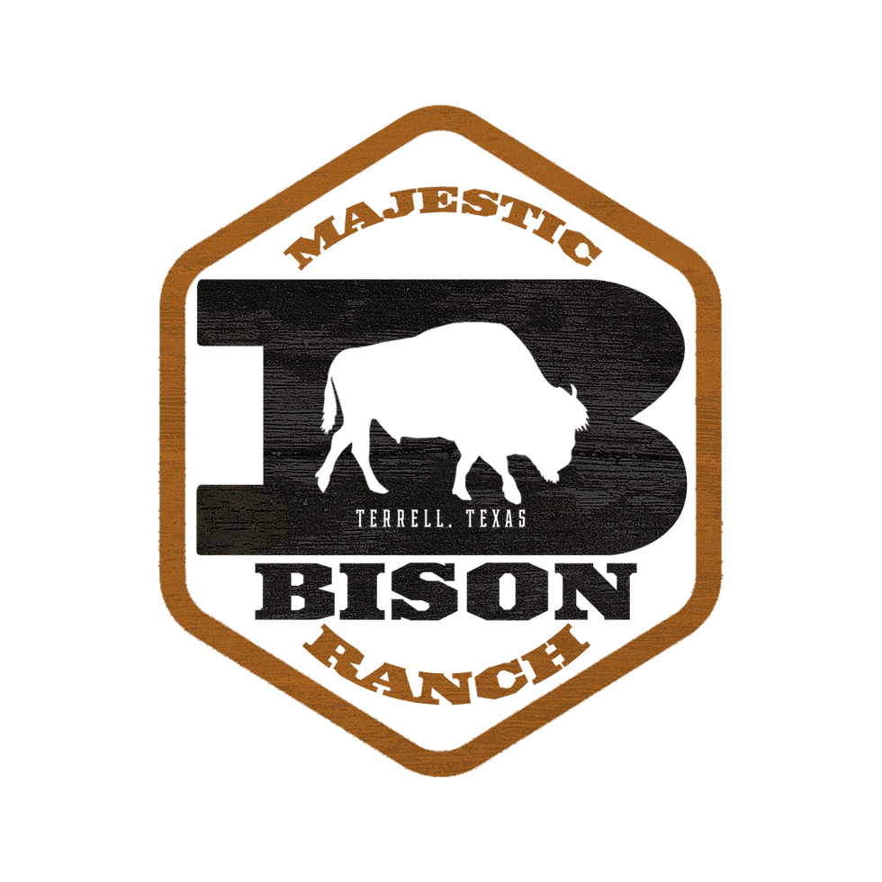 brianBISONRANCH-logo2.png