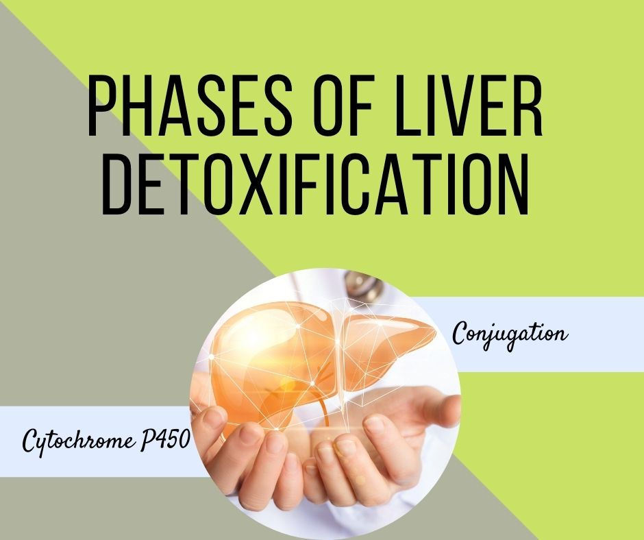 Unraveling the Impact Liver Detoxification and its Potential Harm on