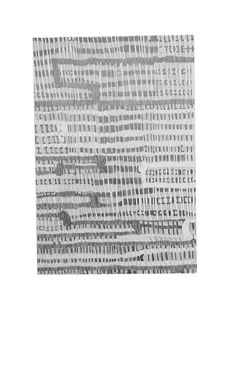 Drawing of Weaving 2