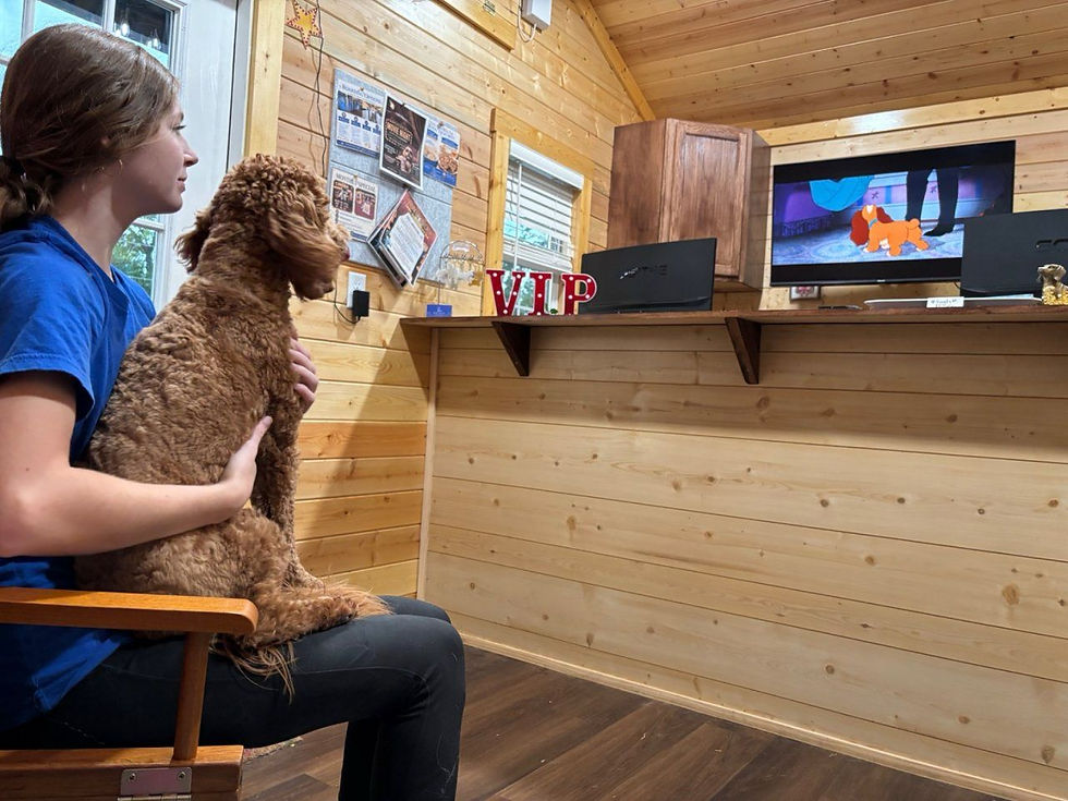 Dog watching Lady and the Tramp movie
