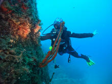 GOPR0720.JPG