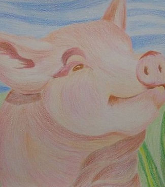 pigcoloredpencil.jpg