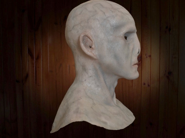 Mr.Voldemort