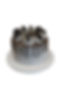Fatima Aziyane _  Le Caramel Tourcoing  LAYER CAKE.jpeg