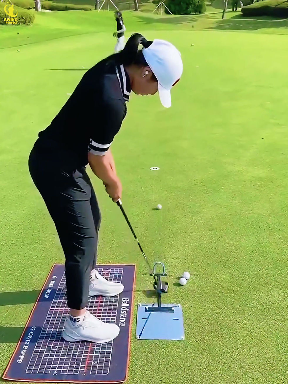 Flex Golf Putting Gates Video