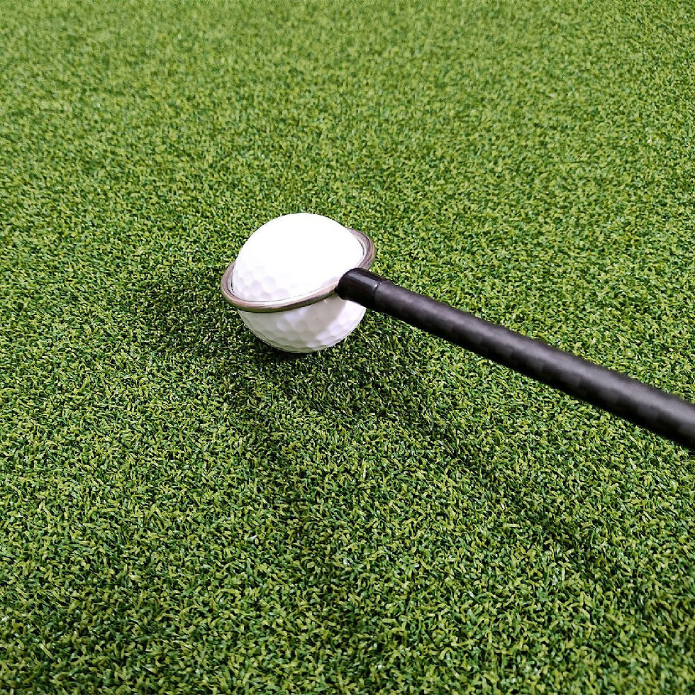Miniaturebillede: Carbon Fiber Golf Coach Ball Retrieval Club