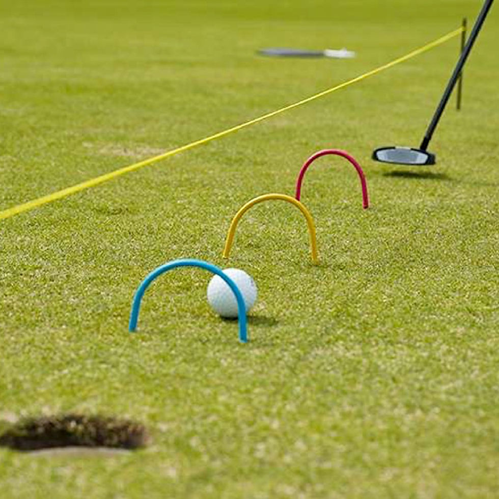 Flex Golf Putting Gates 1
