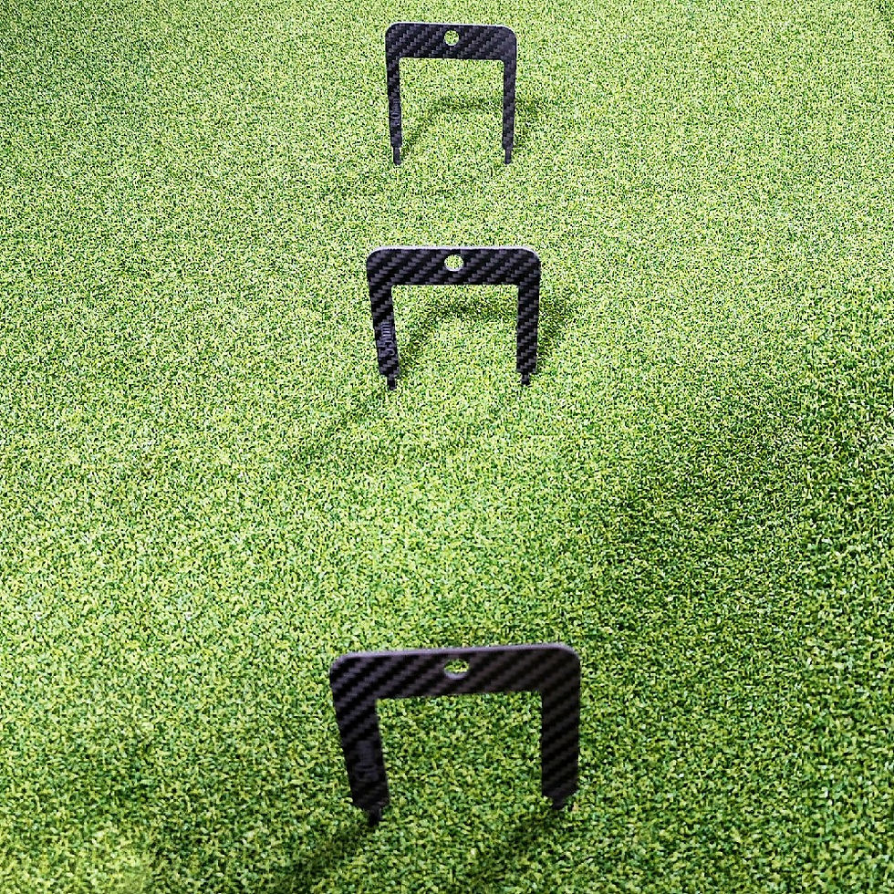 Miniatura: Carbon Fiber Putting Gates 7
