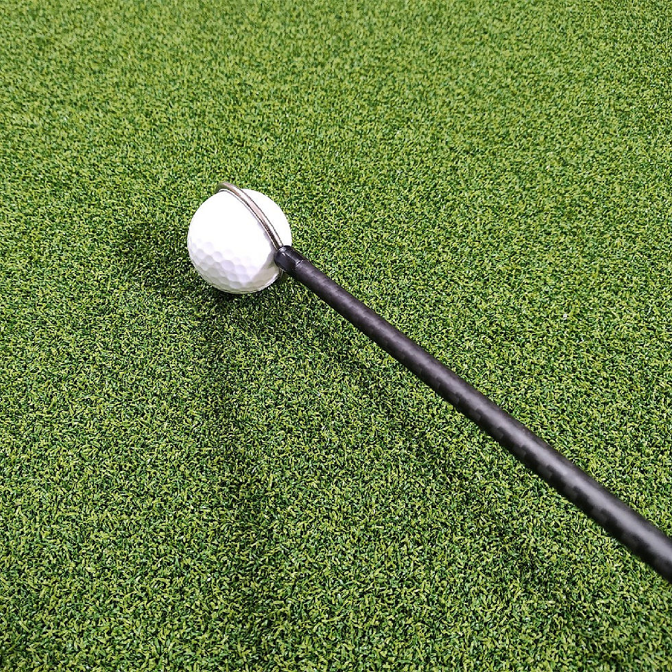 Miniaturebillede: Carbon Fiber Golf Coach Ball Retrieval Club