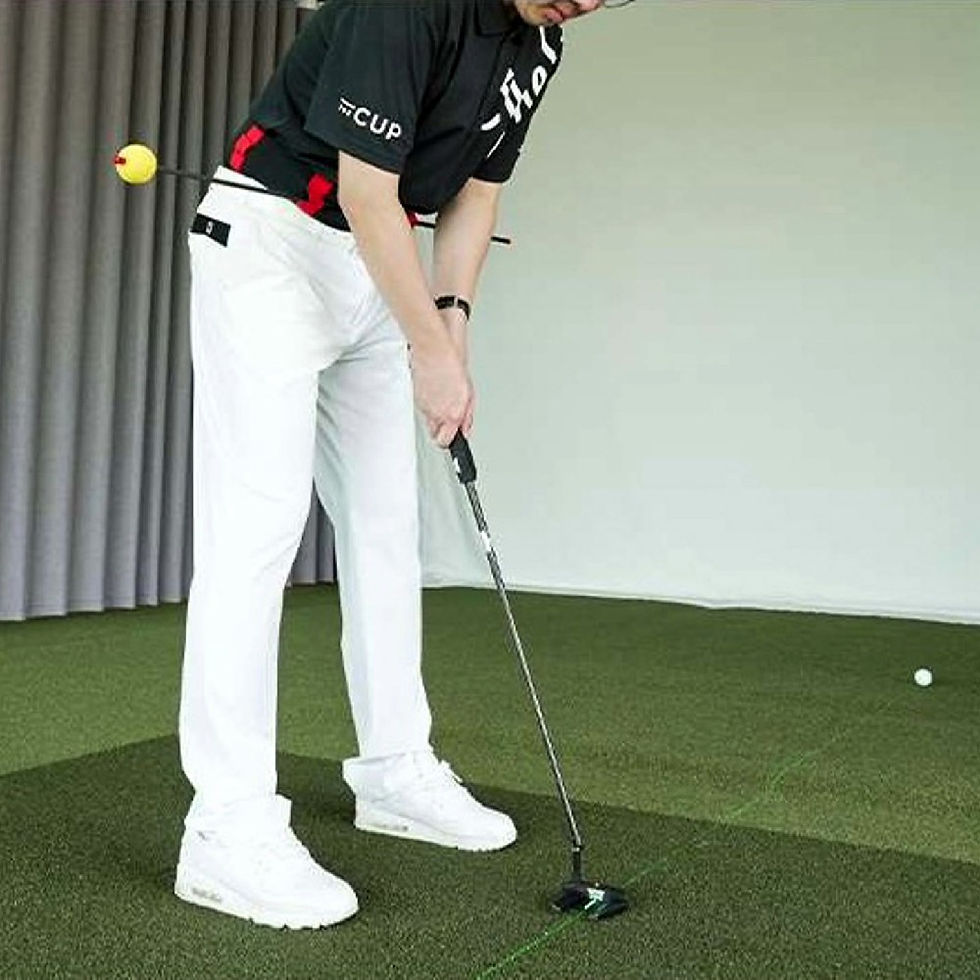 Golf Hip Trainer 1