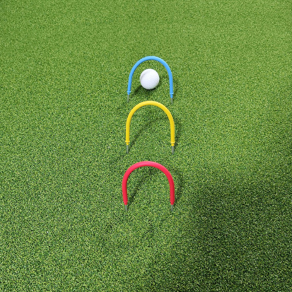 섬네일: Flex Golf Putting Gates 11