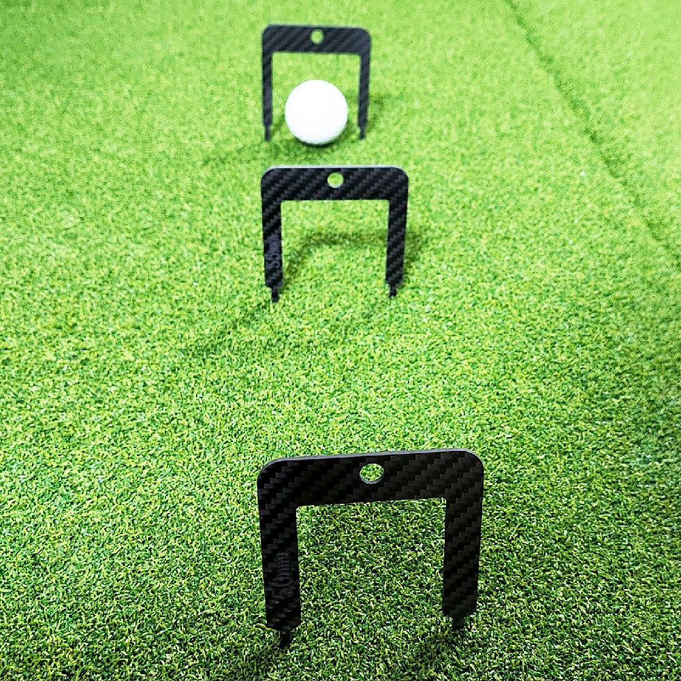 サムネイル： Carbon Fiber Putting Gates 9
