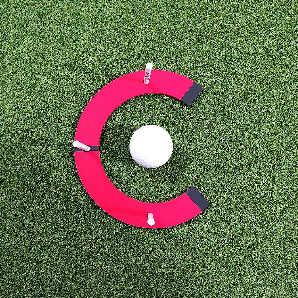 Miniatyrbild: Breaking Putt C Entry Gates 11