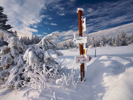 JEDNODNIOWE WĘDRÓWKI Z DZIEĆMI