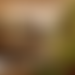 Świąteczne oferty w Radisson HG na terenie całej Polski!