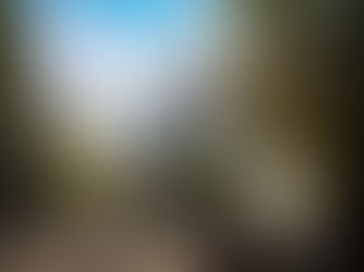 NoBu Warszawa - Robert de Niro na otwarciu.