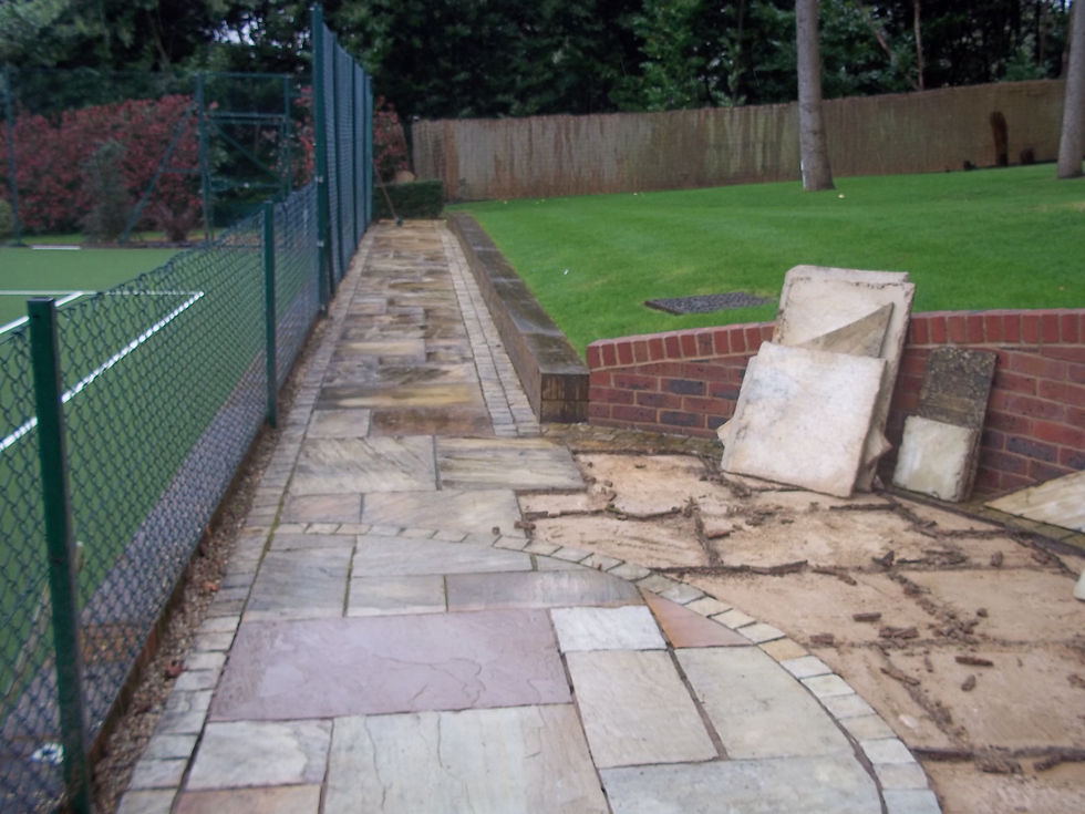 Lucio Zanela Landscape Gardeners