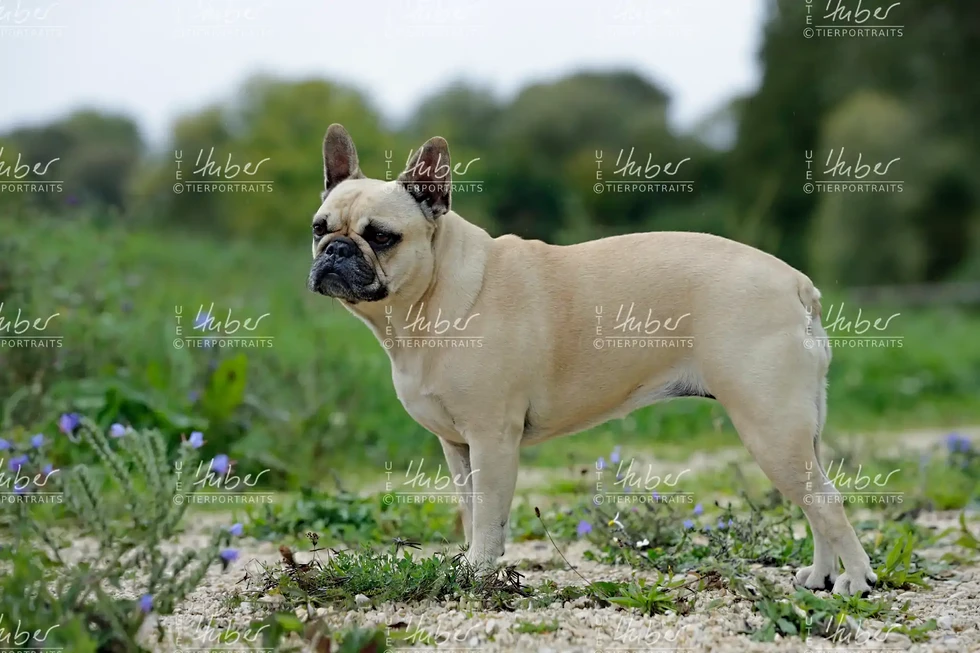 Pebbles & Frederic_2022_09_27_0106_1.webp