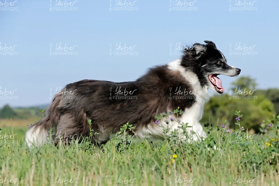 Benny & Basti_2022_09_07_0172_1.webp