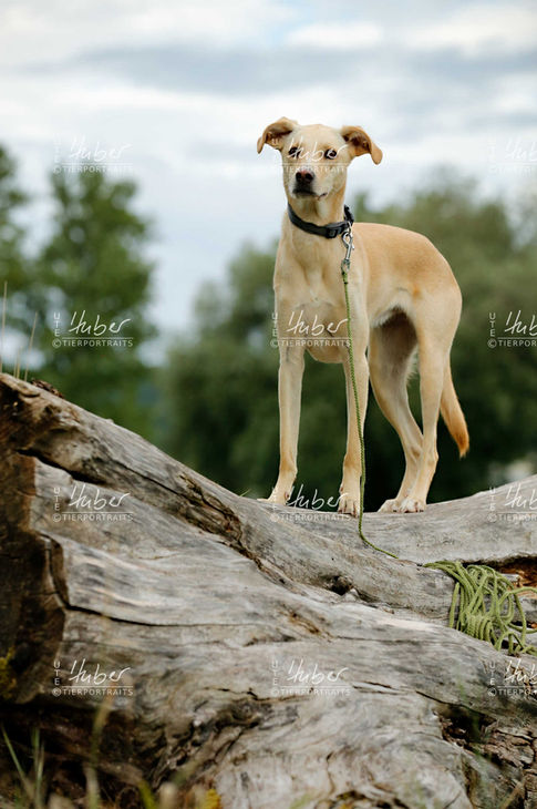 Simba und Elli_2023_08_09_0188_1.jpg