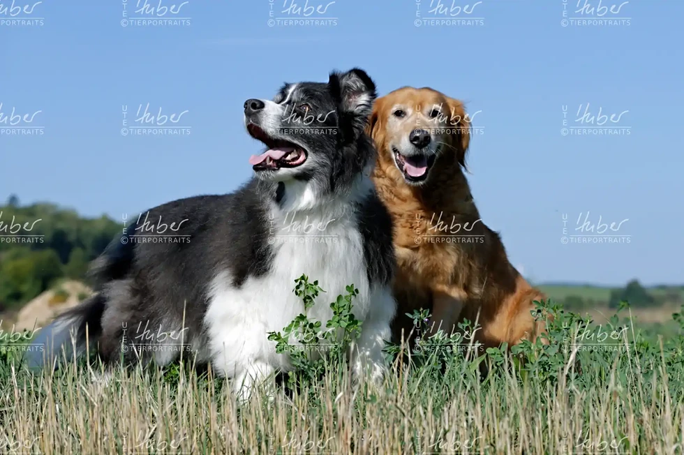 Benny & Basti_2022_09_07_0230_1.webp