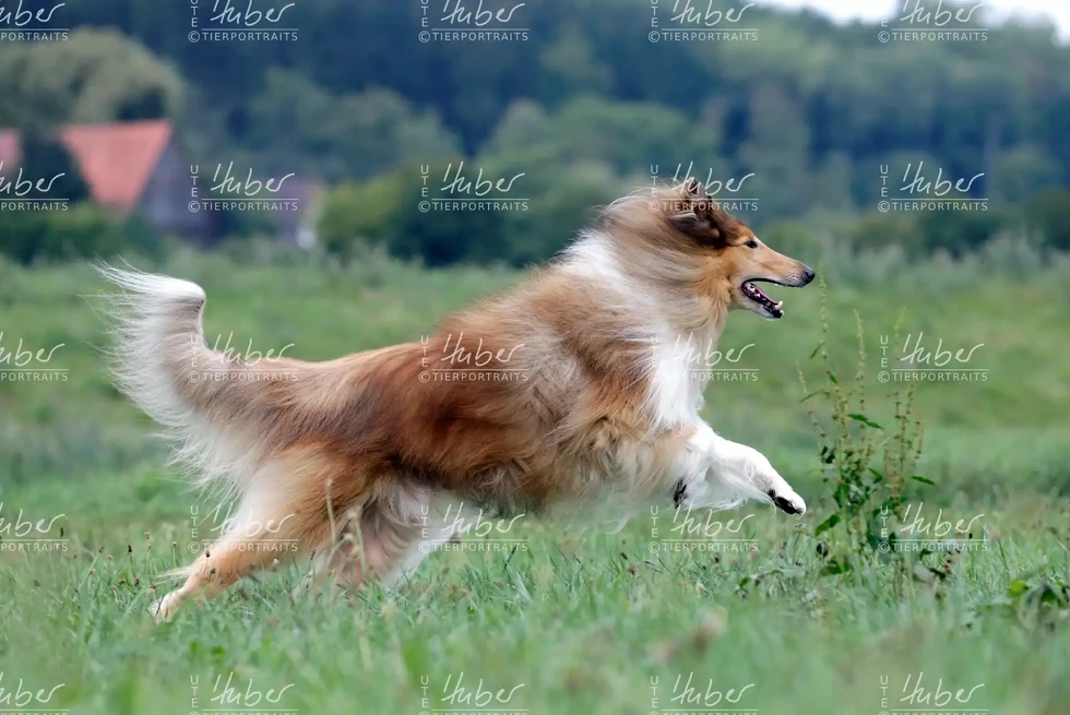 Monty & Sky_2022_09_01_0111_1.webp