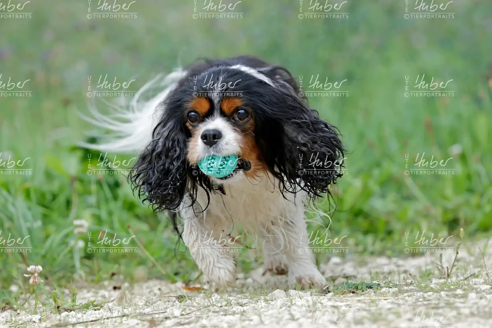 Monty & Sky_2022_09_01_0251_1.webp