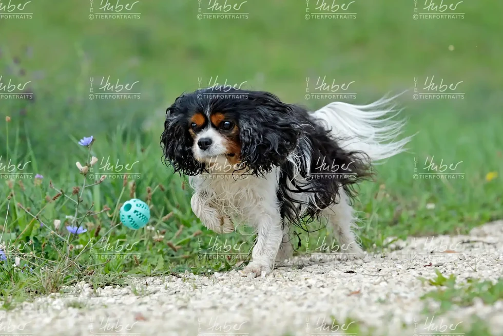 Monty & Sky_2022_09_01_0241_1.webp