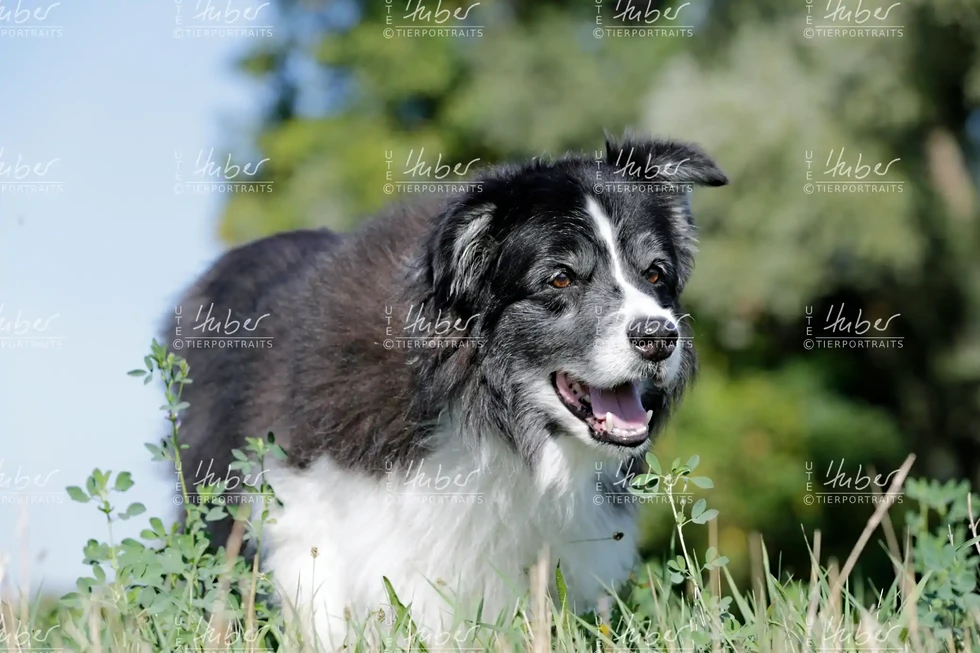 Benny & Basti_2022_09_07_0179_1.webp