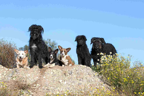 JAHRESRÜCKBLICK 2025