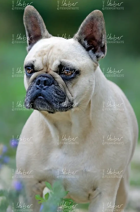 Pebbles & Frederic_2022_09_27_0127_1.webp