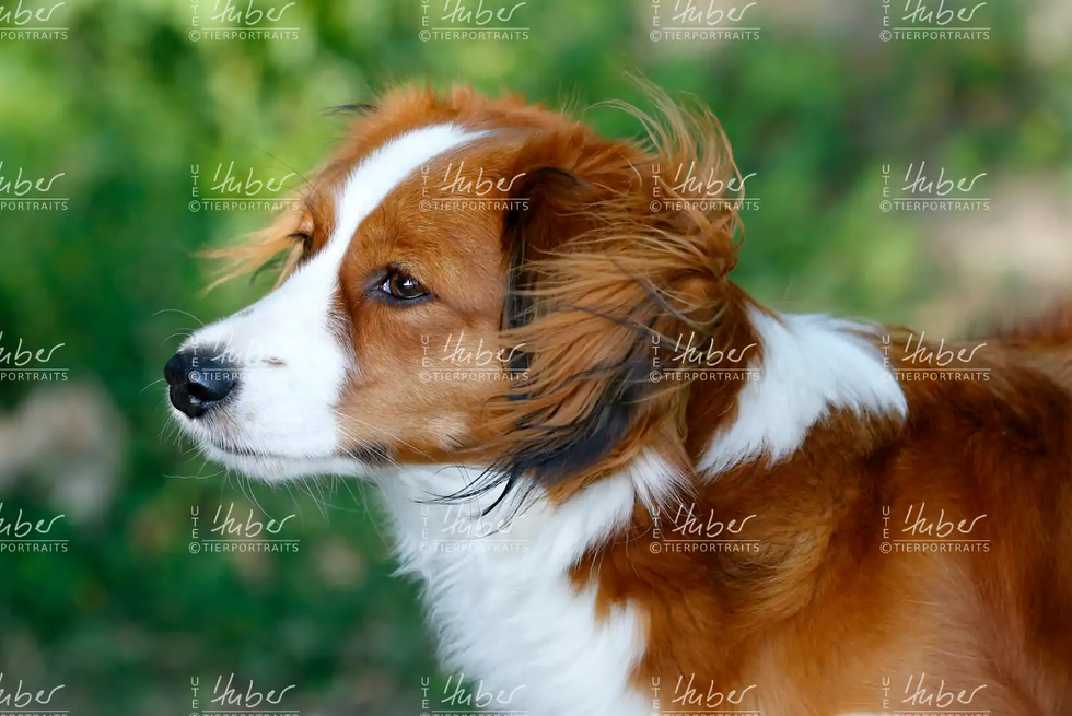 Lizzy_2022_06_15_0378_1.webp
