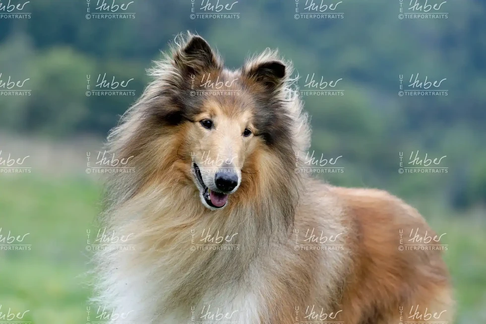 Monty & Sky_2022_09_01_0137_1.webp
