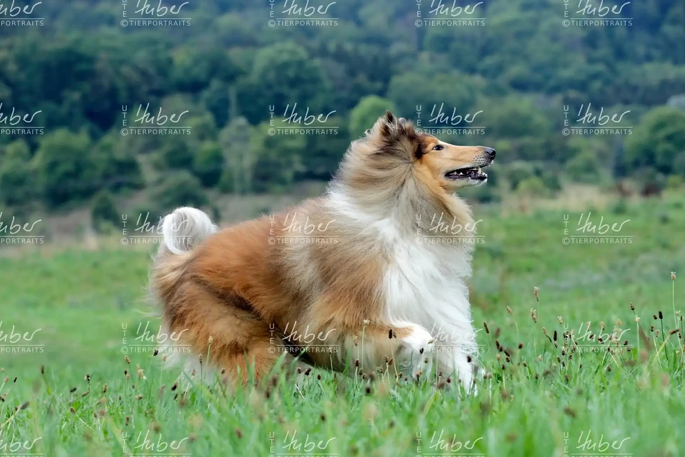 Monty & Sky_2022_09_01_0121_1.webp