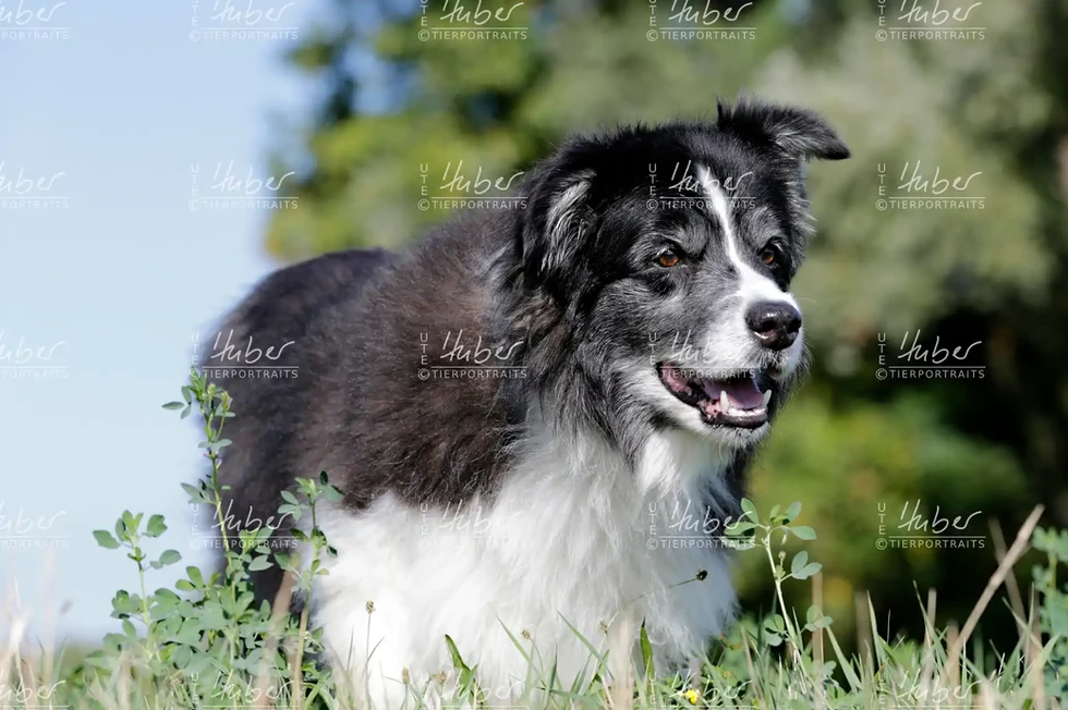 Benny & Basti_2022_09_07_0181_1.webp