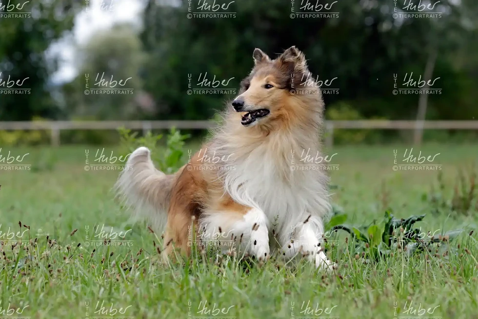 Monty & Sky_2022_09_01_0428_1.webp